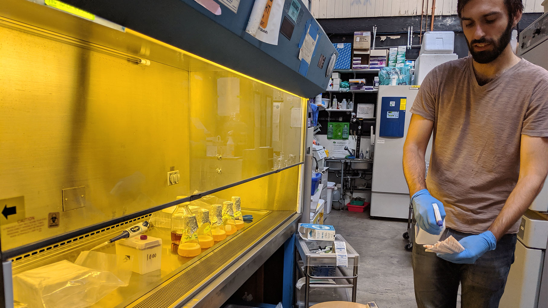 Tim spraying down some manual pipette tips for use in the biosafety cabinet.